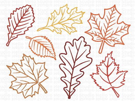 autumn leaf svg|fall leaf svg.